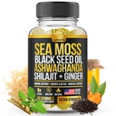 Hav Moss, Svart Seed Olje, Ashwagandha, Ginger, Shilajit Gummies med Elderberry, Klorofyll, Turmeric Bladerwrack Sea Moss Gummies Avansert styrke Formula - Alt i 1 Bundle - USA laget (60 Gummies)