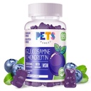 Kjæledyr Purest Glucosamine Chondroitin Gummies med MSM & Elderberry ekstra styrke - Felles støtte, antioksidant immunstøtte Supplement for voksne, menn og kvinner.60 Blåbær Gummies