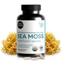 Atlanterhavet Naturals Sea Moss Capsules med Moringa, Ashwagandha, Black Seed Oil, Ginger & Ginseng - Atlantic Sea Moss Kosttilskudd for menn og kvinner - for daglig energi og velvære blanding – 120 greve