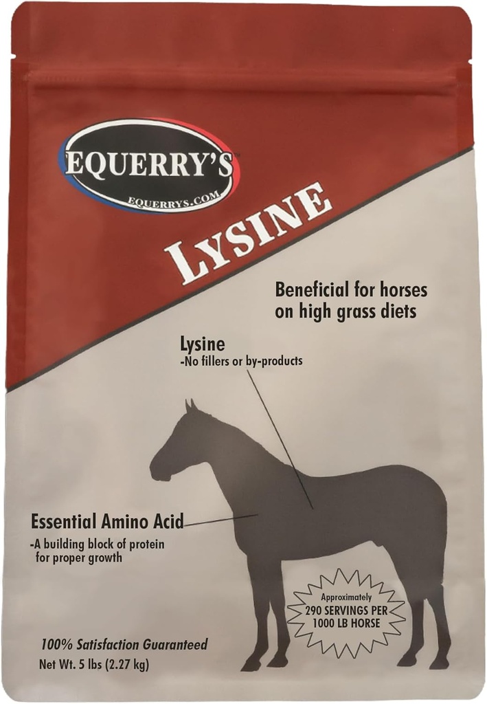 Equerry Lysin Supplement for hester | Lysin pulver Supplement for muskel støtte og immun helse | Balanser Forbruksbaserte Dietter | 5Ib Bag