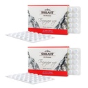 Altai Shilajit 120 Tabletter Fjell Balsam etikett - Original Altai Siberian 100% ren fulvsyre og spormineraler