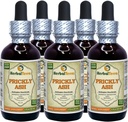 Prickly Ash (Zanthoxylum Clava-herculis) Tinktur, tørket Bark væskeekstrakt (Brand Navn: HerbalTerra, stolt laget i USA) 5x2 fl.oz (5x60 ml)