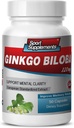 Brain Kosttilskudd for minne og fokus - Ginkgo BILOBA 120MG - Gingko biloba Plante, Focus Kosttilskudd for voksne, Gingko biloba Kosttilskudd, Ginko biloba Pills Naturlig, Minne Supplement - 1B 60 Caps