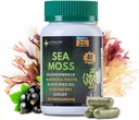 Sea Moss Capsules - 16-i-1 Sea Moss Supplement med Bladderwrack, Burdock Root, Black Seed Oil, Ashwagandha - Immun støtte og energi Booster - 60 Vegan Kapsler (1944mg)