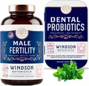 WINDSOR BOTANICics Mannlig fruktbarhet supplement og tannprobiotika helse og velvære Bundle