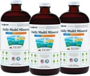 LiQUIDHEALTH Daily Multi Mineral Liquid Supplement med Fulvic Acid, Plant Basert Ionic Aquamin Sea Trace Ocean Minerals - Immunstøtte, Energi, Gut Helse, Detox - laget i USA, Vegetarisk (3 pakke)