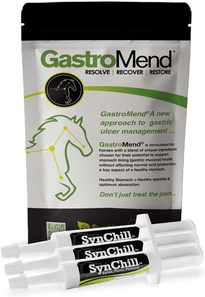 SynChill 3 Pack + GastroMend Bundle for hester - Omfattende mage helse og oppførselsmessig støtte, aids i gastric Ulcer Relief, fremmer ro og fokus, alt naturlig, kostnadseffektiv