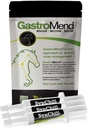 SynChill 3 Pack + GastroMend Bundle for hester - Omfattende mage helse og oppførselsmessig støtte, aids i gastric Ulcer Relief, fremmer ro og fokus, alt naturlig, kostnadseffektiv