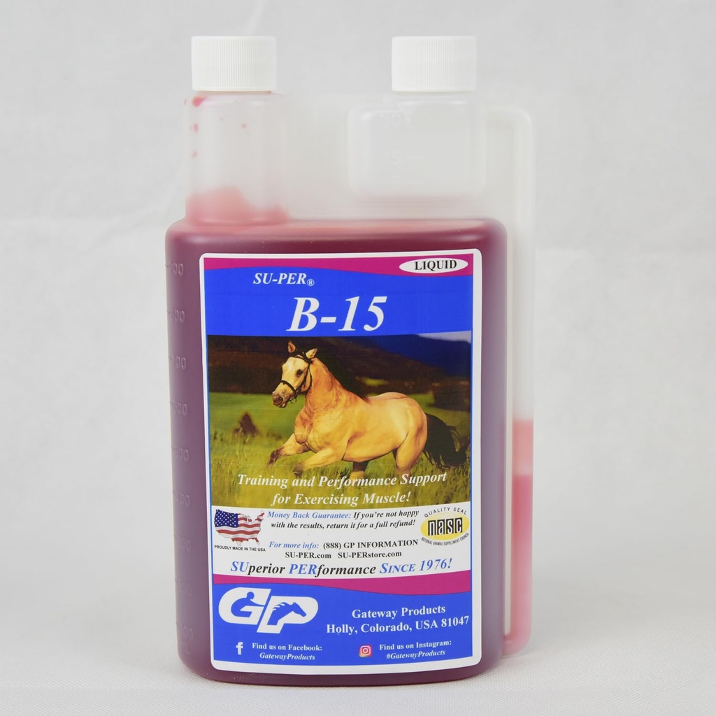 SU-PER B-15 vitamintilskudd for hester - Equine vitamin B-15 væske for ytelsesstøtte - støtter normal kardiovaskulær immun- og muskelfunksjon - 1 kvart, (2 pakke)