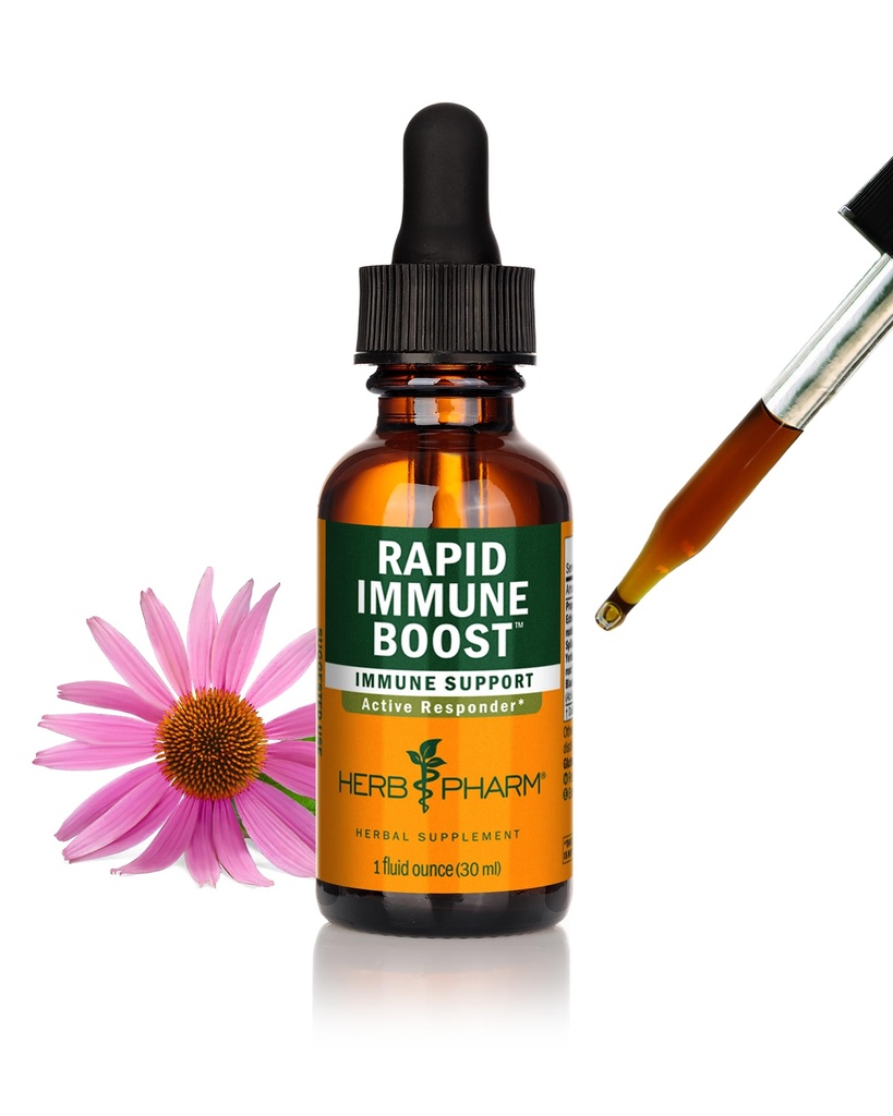 Urt Pharm Organic Rapid Immune Boost: Hurtigabsorberende Tinktur for voksne, Echinacea Tinktur med gyllensegl, Ginger Extract & Elderberry, Immun støtte Supplement & velværehjelp, 1 Oz