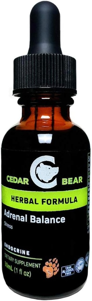 Cedar Bear Adrenal Balance - flytende herbal Supplement med adaptere som bekjemper tretthet, administrere stress og øke energi 1 fl oz / 30 ml