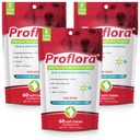 Proflora Probiotic Soft Chews for hunder - Veterinær-Styrke Daily Probiotic - Digestions Helse - Økt immunsystem - Hud og Coat Helse - 180 Myke Chews