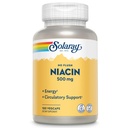 SOLARAY Ingen Flush Niacin 500mg, Flushfri vitamin B3 Niacin, energi og sirkulatorisk systemstøtte, Vegan, Lab Verifisert, 60-dagers pengene-tilbake garanti, 100 serveringer, 100 Vegkaps
