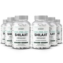 Organics Ocean One-Per-Day Shilajit for menn og kvinner - Naturlig og Potent Shilajit Supplement for aldersbestemt, bein styrke, hormon støtte og mer - 6 flasker Shilajit Kapsler