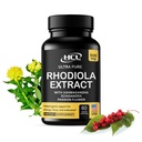 Rhodiola Rosea Supplement høy potens Ekstrakt 500 mg - 3% Rosavins 1% Salidrosider med Ashwagandha Shisandra Passion Blomster Herb pulver kapsler - naturlig måte å lindre stress - piller for energi