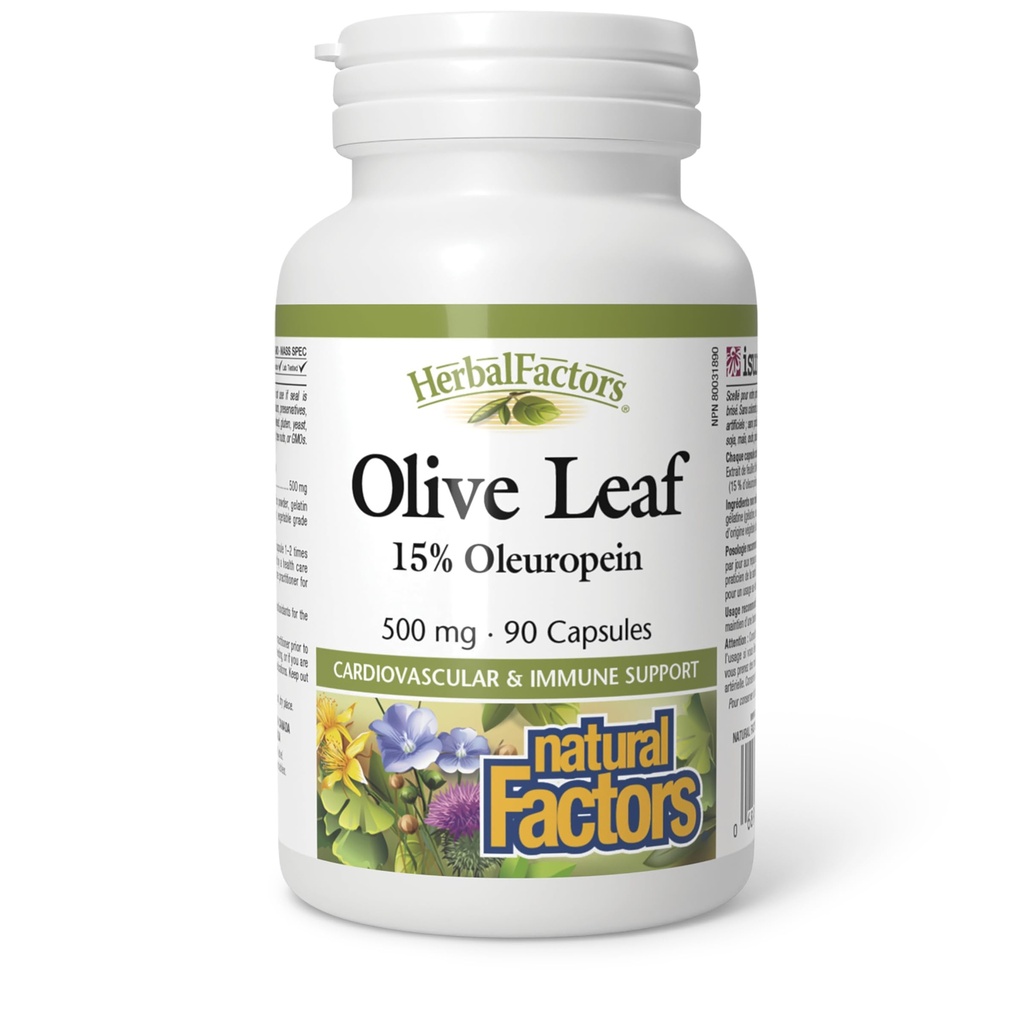 Urtefabrikker av naturlige faktorer, Olive Leaf 500 mg, naturlig velvære formel, 90 kapsler