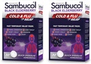 Sambucol kold og influensa relief tabletter - Homeopatisk kald medisin, Nasal & Sinus Congestion Relief, Bruk for Runny Nese, Kjøkken, Cold Remedy for voksne - Black Elderberry, 30 Count, 2-Pack