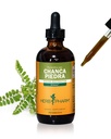 Herb Pharm Chanca Piedra Liquid Extract for urinsystemstøtte - 4 Ounce