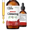Wild & Organic koreansk rød ginseng ekstrakt dråper - Panax Ginseng Supplement for immunstøtte - flytende rot tinktur for total velvære - vegansk, sukker og alkohol-fri - 2 fl oz