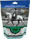 Funky Unicorn Gastisk Chews - MINT smak