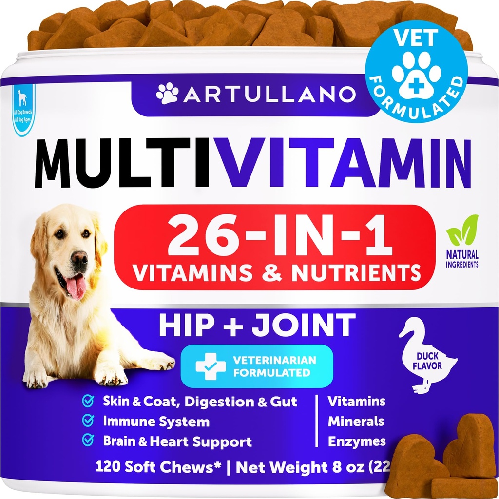 Hund Multivitamin Chewable med glukosamin 26 i 1 - Hundevitaminer og kosttilskudd - Senior & valp Multivitamin for hunder - Pet Joint Support Helse - Immunitet, mobilitet, Gut Skin - 120 Chews