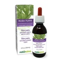 Naturalma Muira puama (Ptychopetalum olacoides) bark alkohol-fri tinktur - 4 fl oz flytende ekstrakt i dråper - Herbal Supplement - Vegan