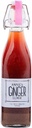 Annie's Ginger Elixir, 17oz 1-Pack, ren naturlig organisk Tonic Ginger Shot, Digestive renser øker immunforsvar, daglig gut helse og velvære, ikke-GMO drikke