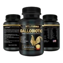 Gallobiotisk naturlig multivitamin for Rooster, Hens - 100 tabletter | Vitamina Completas para Gallos