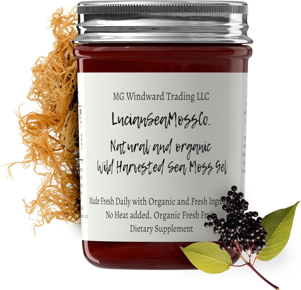 Dr. Sebi Inspirert Alkaline Økologisk Fersk Eldrebær Ginger Sea Moss Gel - Naturlige essensielle vitaminer, Mineraler Plus Antioksidanter Wild Harvested fra Saint Lucia (8 oz.)