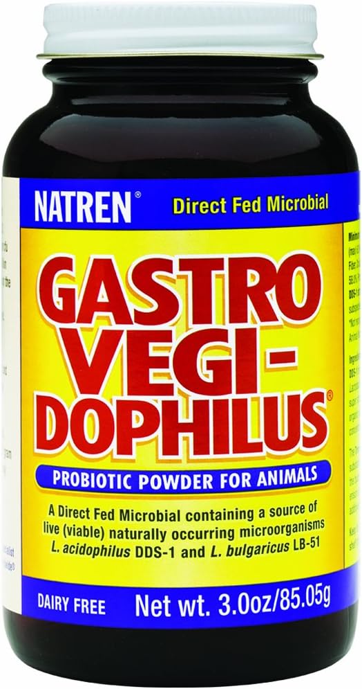 Natren Gastro Vegi-Dophilus Intestinal Helse og Digestion Dairy-free Probiotic pulver for dyr, 3.0oz