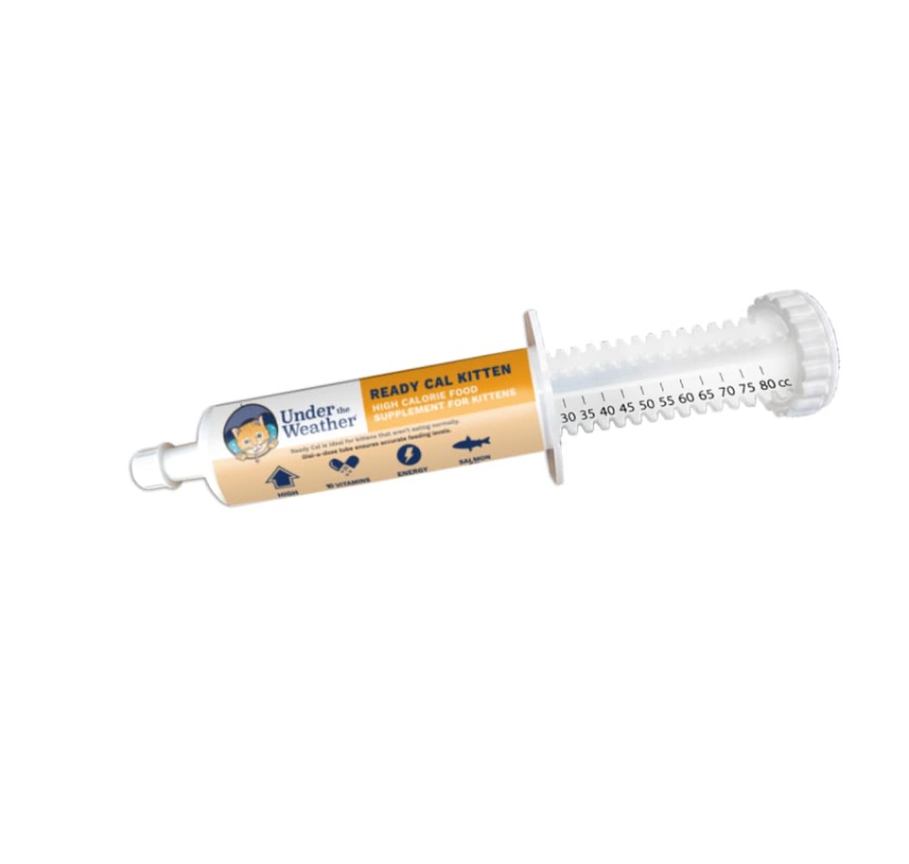Under været Kjæledyr | Klar Cal for Kitten | Høy kalori Pet Nutritional Supplement for vekt gevinst og sunn vekt vedlikehold | 10 vitaminer, 7 mineraler, Omega fettsyrer og karbohydrater | 80cc