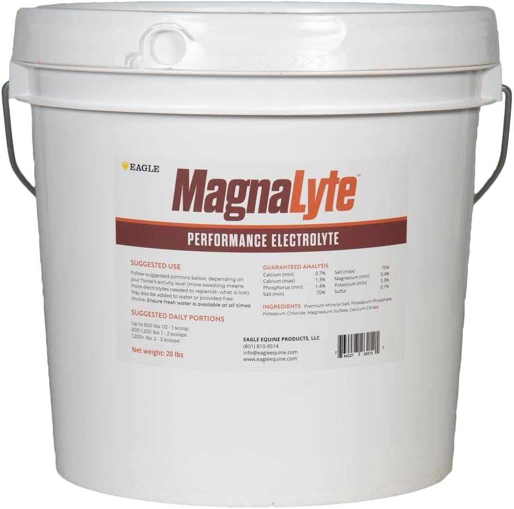 MagnaLytte Løs salt og elektrolytter for hester av Eagle Equine | Mineral hav Salt, Trace Minerals, Electrolytes | 20 pund Bucket