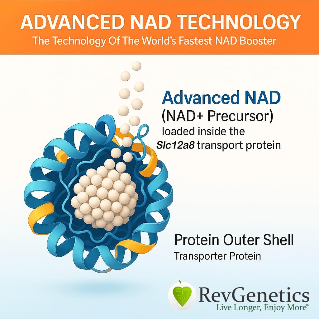 REVGENETICs Advanced NAD + Supplement, 60 kapsler - Kosttilskudd for sunn aldring og lang tid
