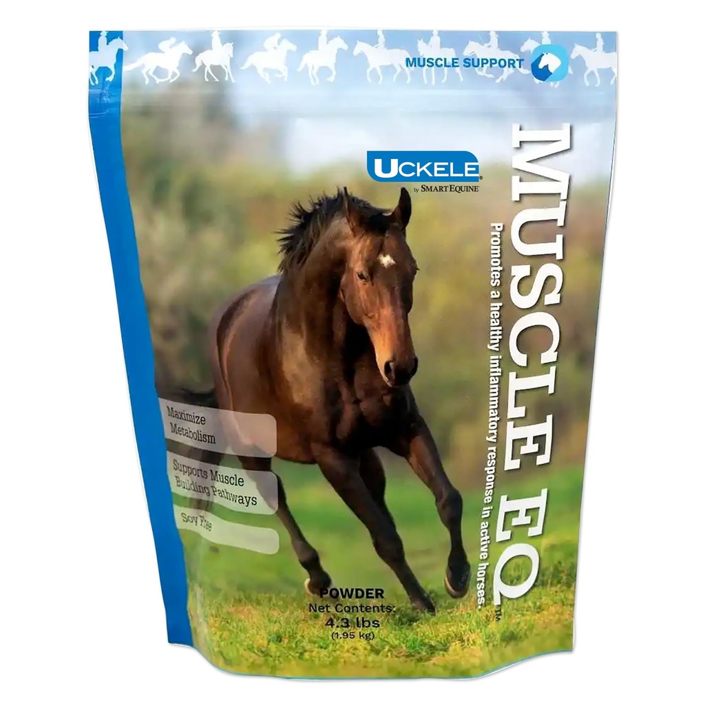 Muskel EQTM Powder | Muskeltilskudd med L-karnitin for hester | Aminosyre Beta-Alanin for optimal muskelfunksjon og støtter gjenoppretting |
