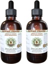 Amerikansk Ginseng alkohol-fri flytende ekstrakt, Ginseng (Panax Quinquefolius) tørket Root Glycerite Hawaii Pharm Naturlig Herbal Supplement 2x4 oz