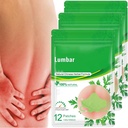 Lumbar Helse Patch (36 PCS/3 pose)