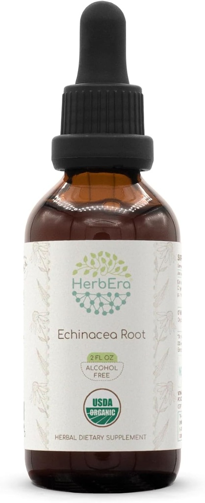 HerbEra Echinacea Root B60 USDA Organisk Tinktur | Alkohol-fri ekstrakt, høy potens Herbal Drops, Immunsystem Helse | Certified Organic Echinacea Root (Echinacea Purpurea) Tørket rot (2 fl oz)