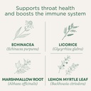 Tradisjonelle medisiner Lozenges, Organisk Throat Coat Lemon Ginger Echinacea, Sore Throat Support, 16 Count (pakke på 2)