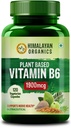 Plantebasert vitamin B6 ̊ støtter immunitet, hjerne helse (120 kapsler)