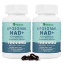 Liposomal NAD+ Tilskudd 1800 mg med Nikotinamid Riboside, Trans Resveratrol, Trimetylglycine, Erstatninger NMN, Økt NAD+, Aging Defense,Cellular Energy, 120 Softgels