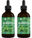 360 Ernæring Klorofyll flytende dråper med peppermynteolje, GF & Vegan Body Intern Deodorant Supplement, støtter Gut Helse, Digestion, Energi, strålende hud, rask absorpsjon (4 Fl Oz (2 greve))