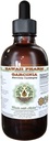 ren Garcinia alkohol-fri flytende ekstrakt, organisk Garcinia (Garcinia cambogia) tørket frukt glykeritt Hawaii Pharm naturlig Herbal Supplement 2 floz