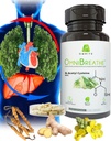 OMNIbreATHE - Rask forbedring pusteproblemer av NAC 600MG vitenskapelig formulerte w. Quercetin/Mullein/Coq 10/Ginger/Stinging Nettle/Bromeain,3 ganger w. Måltid (10-dagers levering til å øke)