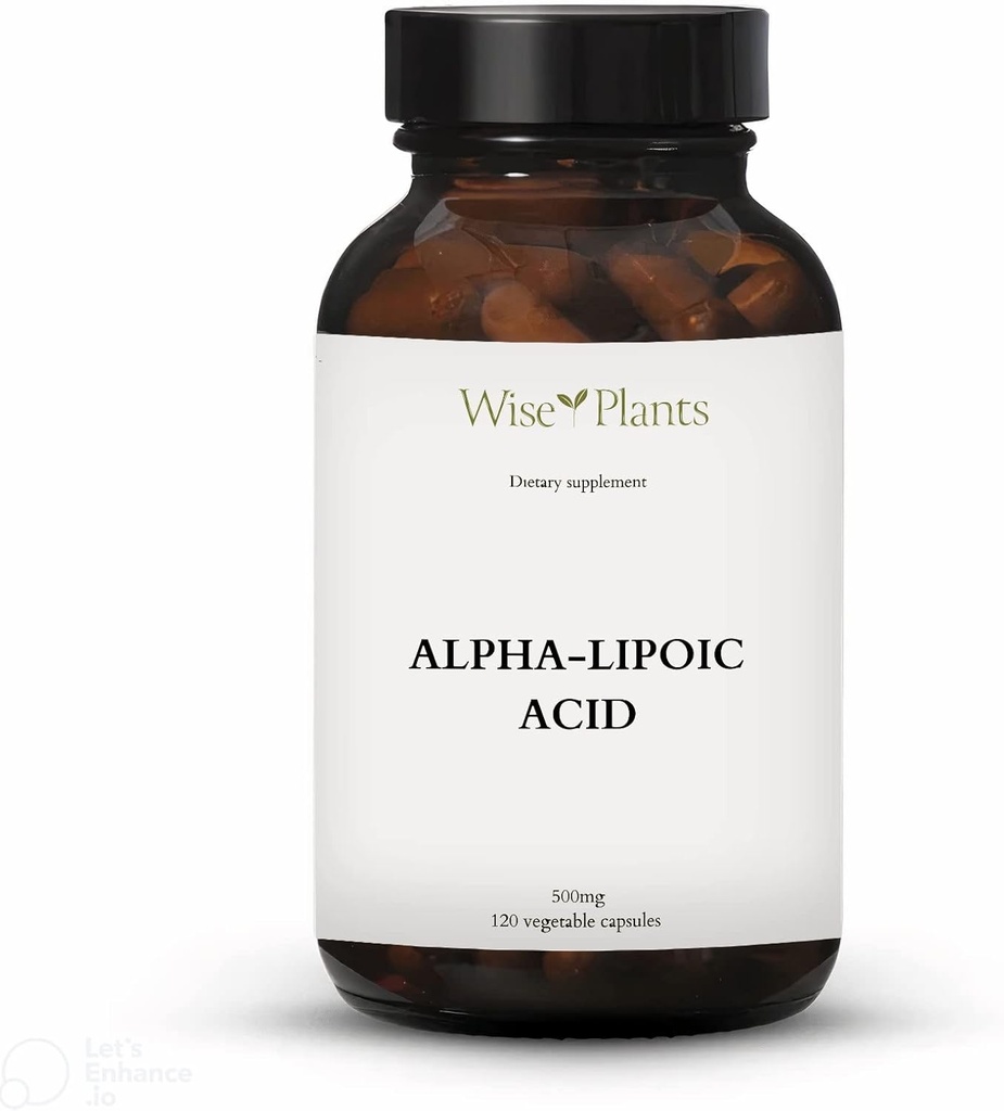 Alpha-Lipoic Acid - Ikke-GMO - 500 mg, 120 serveringer (4 måneders forsyning), energinivå, Mitocondria støtte