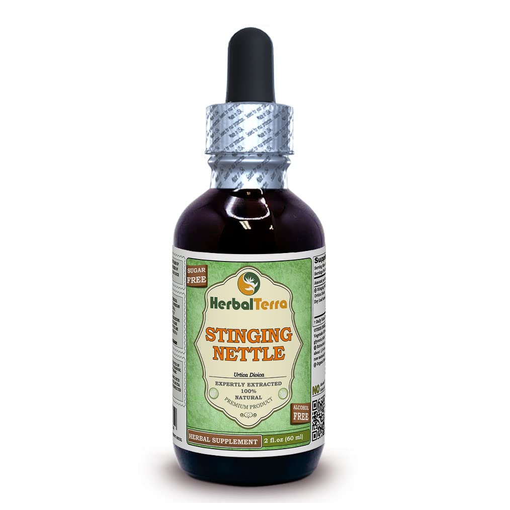 Herbal Terra LLC Sting Nettle (Urtica Dioica) Glyceritt, organisk tørkede blader alkohol-fri flytende ekstrakt 2 oz