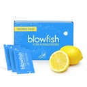 Blowfish for Hangovers - Fast Hangover Relief i 15 minutter | hodepine relief, energi og hydrasjon i ett steg | Enkelt boks