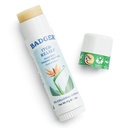 Badger Bug Bite Itch Relief Stick, Naturlig & Organisk Anti Itch Krem for Bug Bites, Rashes & Poison Ivy, Rask kløende hud Relief etter Bite, Works Great, lukter flott, lett å bruke, .6 oz