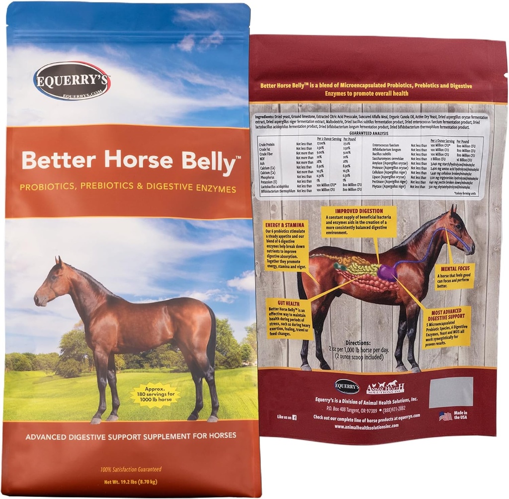 EQUERRY'S Bedre hest Belly - Supplement med Gut Support | Probiotika med prebiotika og digestive enzymer | for kolikk, digestiv Upset - 19,2 LB