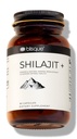 Blisque – ren Himalayan Organic Shilajit Resin ekstrakt kapsler  Authentic Autentiske og naturlige | Golden Grade A | Inneholder Fulvic Acid og Trace Minerals | 90 Kapsler