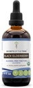 Hemmeligheter av Tribe Black Elderberry alkoholfri tinktur (Glyceritt) 680 mg USDA organisk svart Elderberry (Sambucus Nigra) tørket Berry (4 fl Oz) immunstøtte Supplement
